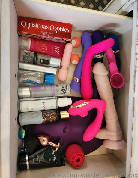 sierraspunkfree nude actress pictures