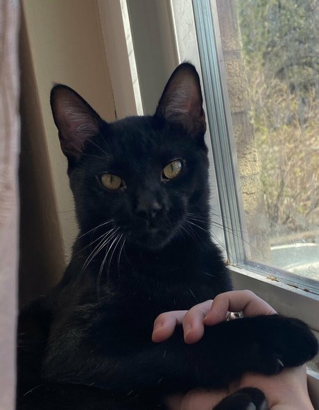 nikkiinatural sex star photo