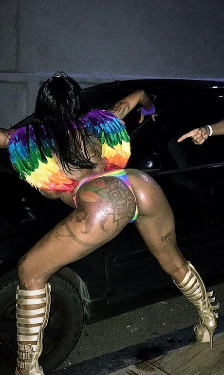 Ines Brasil beautiful model pic