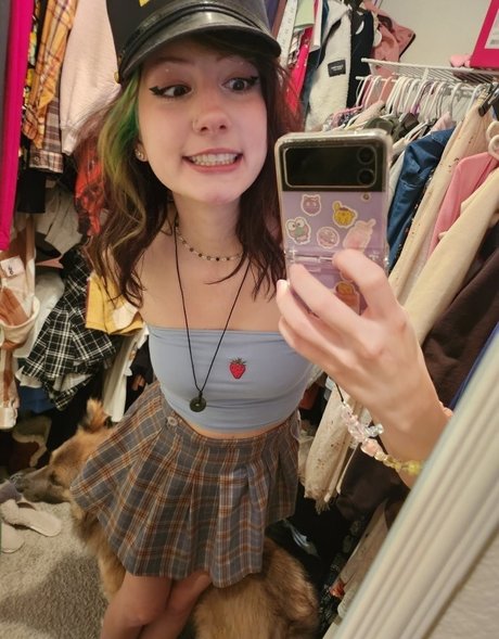 Bunimilk star beautiful image