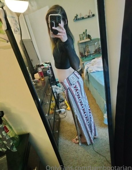 pandavision model perfect image