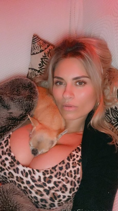 alliseasydney art model galleries