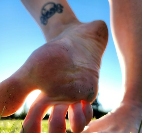 mistysunshine00 star free photos