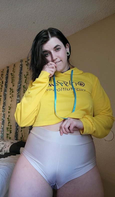 blisscatalog star hd gallery