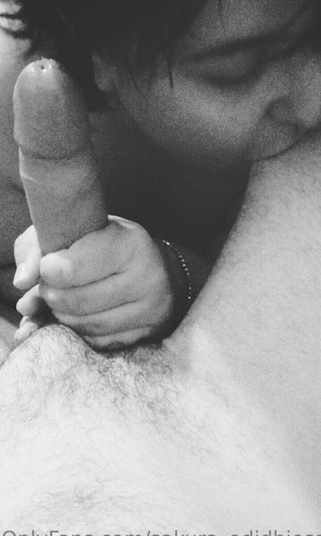 sakura odiosa model best gallery