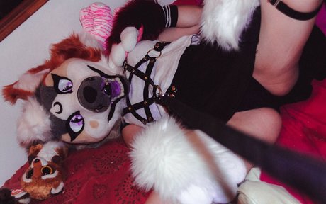 Murrsuit pornstar picture