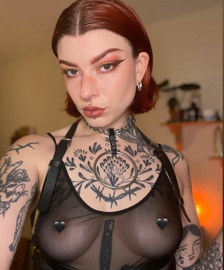 IvyElf star porn img