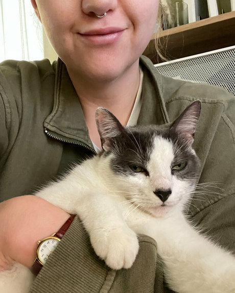 annacarter nyc best model archive