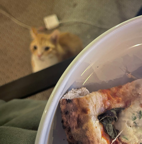 annacarter nyc hot model images