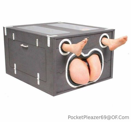 pocketpleazer model hd picture