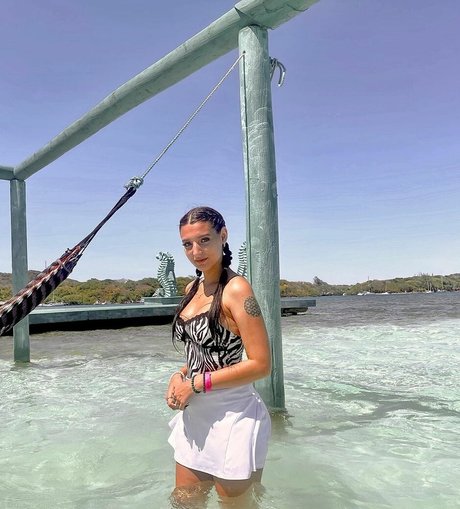 Alison Rainer star art archive