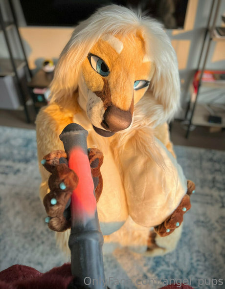 angel pups pornstar sex photos