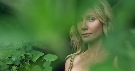 Gwyneth Paltrow pornographic star image