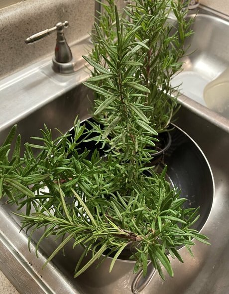 malloypanda exclusive actress photo