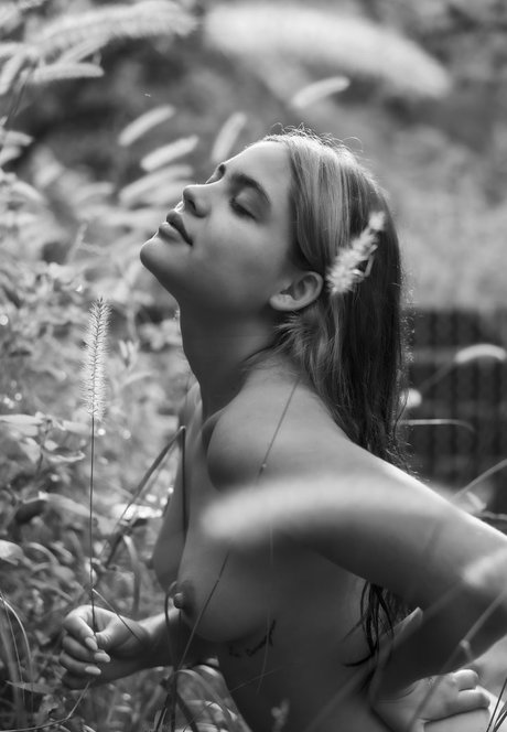 marianatureza69 pretty star photos