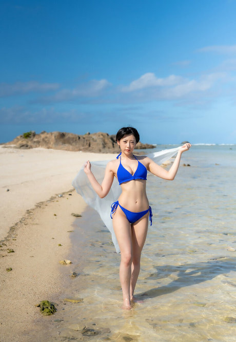 Hibiki Natsume star adult picture