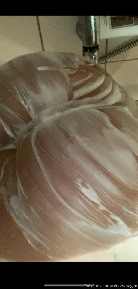 ninanyhagen erotic star archive