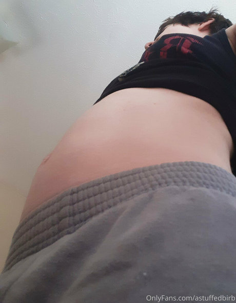 astuffedbirb star pics