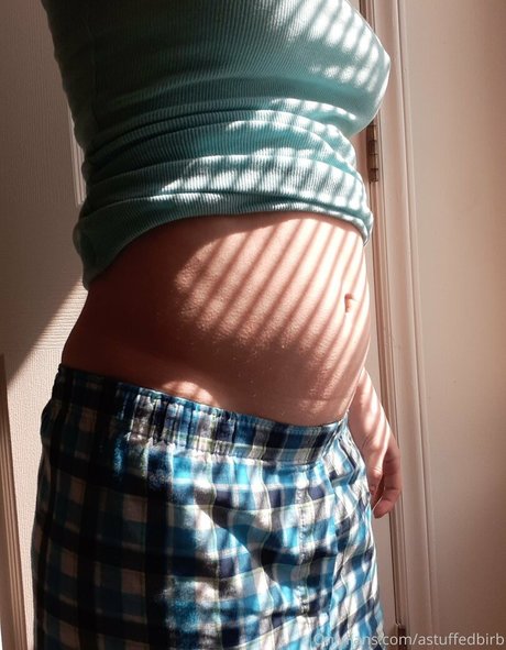 astuffedbirb star xxx photos