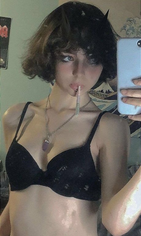 Little Pet star top pics