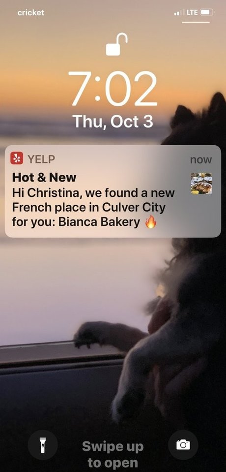 Elenakoshkaxoxo profile image