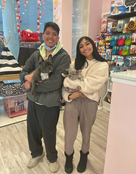 bulge onlyfans pornographic galleries