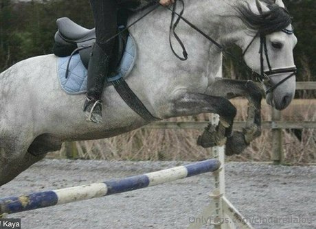 cindarellalou pornstar perfect archive