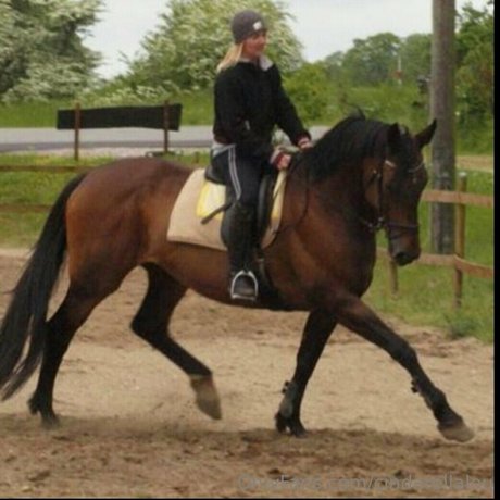 cindarellalou pornstar nice image