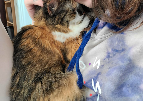 snoot erotic pornstar photo