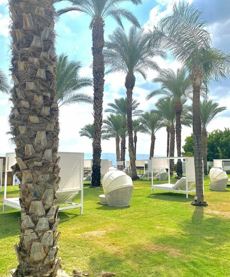 noaperetss pornographic star image