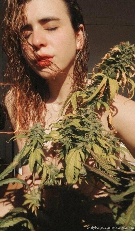 ccapitanax pornstar hot img