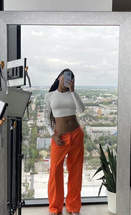 Ninjayla model top image