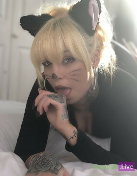 Hayley B perfect pornstar photo