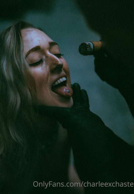 charleexchaste high quality pornstar img