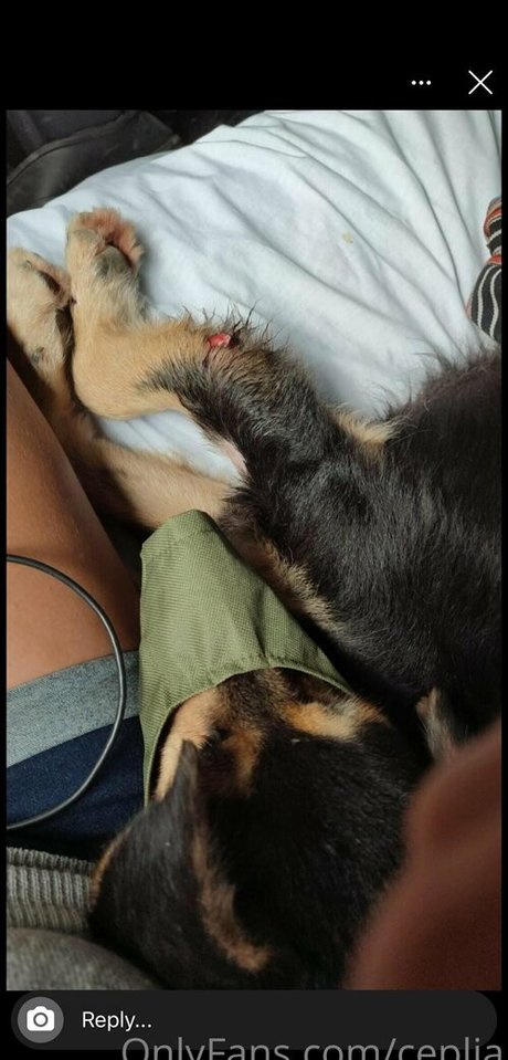 ceplia model nice pictures