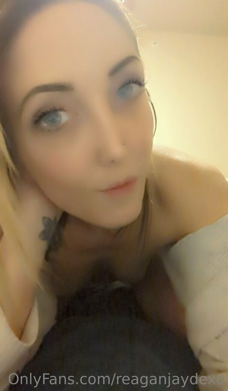 reaganjaydexo pornstar art img