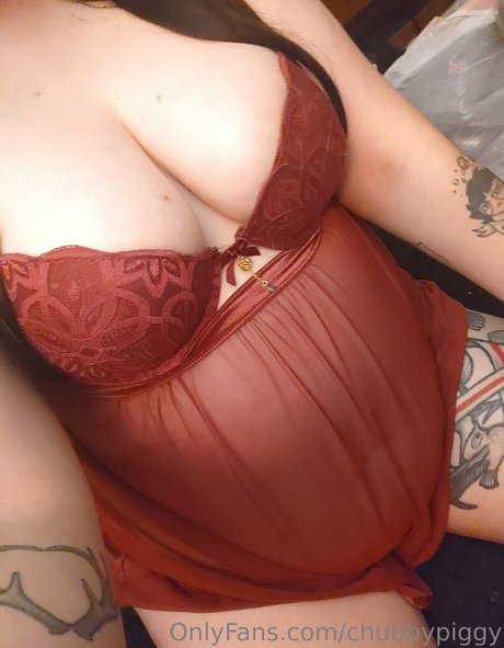 chubbypiggy best model img