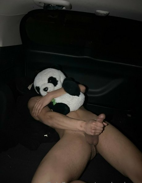pandas lover adult star archive