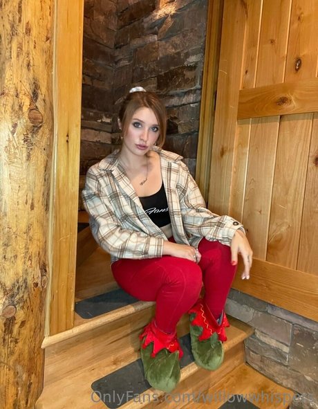 willowwhispers pornstar top image