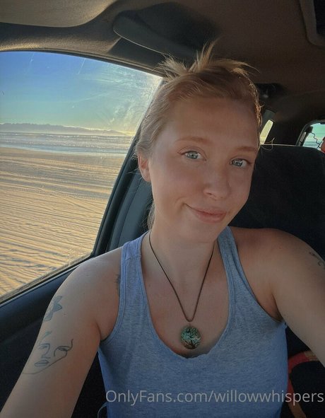 willowwhispers model best pic