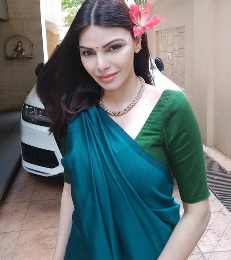Sherlyn Chopra perfect actress pictures