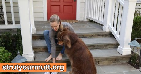 Amanda Seyfried star porn pic