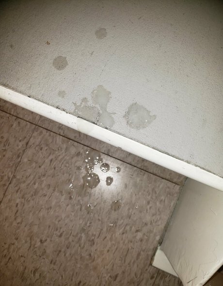 andymoto hd actress img