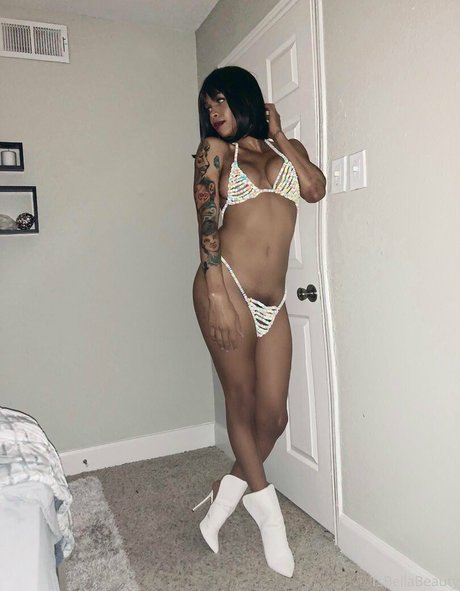 tsbellabeauty star adult archive