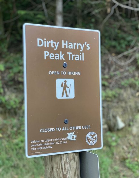 ms adventure beautiful actress galleries