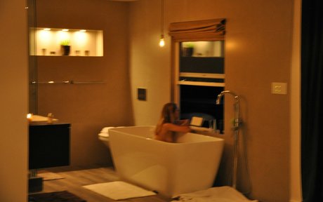 Teresa Palmer star nudes pictures