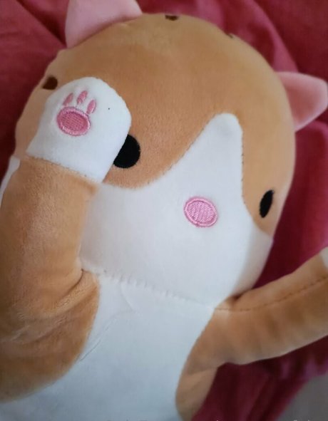 mysecretfairy best star images