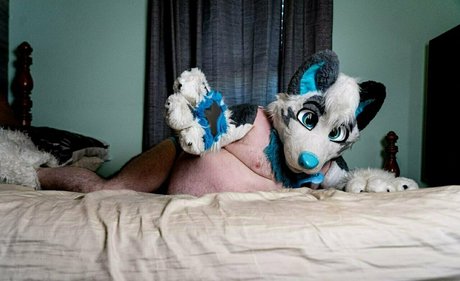 ad dragonwolf star sex images