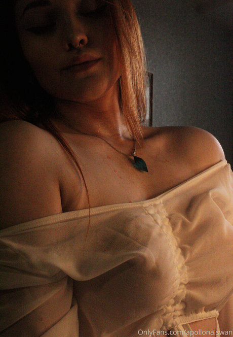 apollona swan model top img