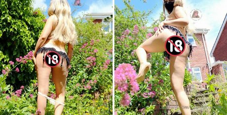 free mariabonita nice star image